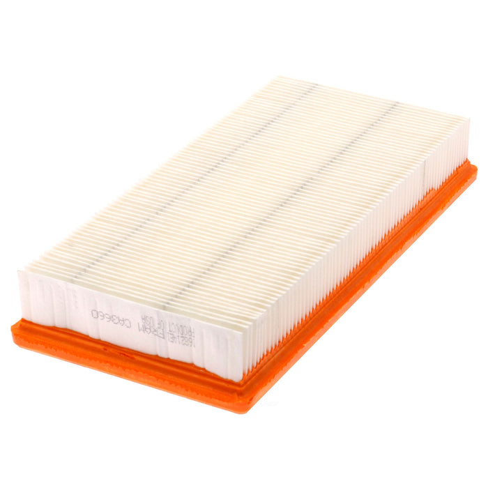 CA3660 FRAM Extra Guard Air Filter
