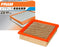 CA3915 FRAM Extra Guard Air Filter