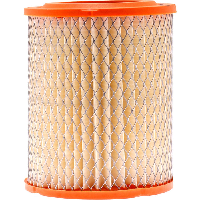 CA9493 FRAM Extra Guard Air Filter