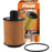 CH11790 FRAM Extra Guard Oil Filter