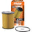 CH11934 FRAM Extra Guard Oil Filter