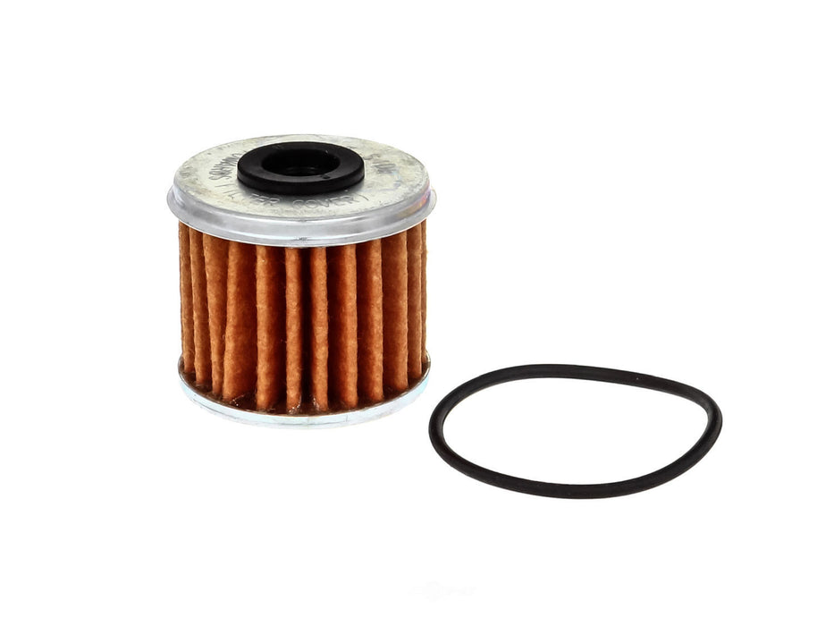 Ch6096 CH6096 FRAM Extra Guard Oil Filter