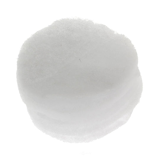 EC224 BWD Fuel Vapor Canister Filter