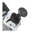 S51076 BWD Headlight Switch