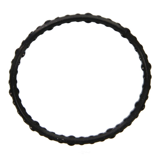35934 Fel-Pro Thermostat Gasket