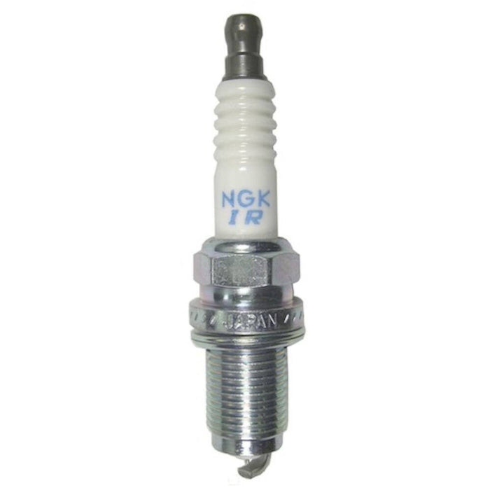 ILKR8Q7 NGK Fall/Winter Spark Plug, 1pk