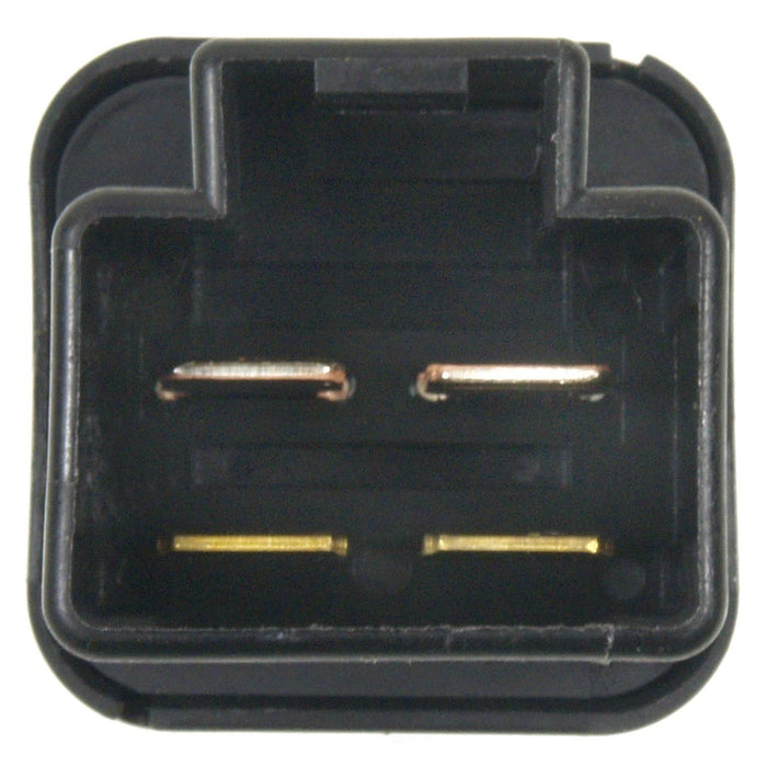 SL2110 BWD Headlight Switch
